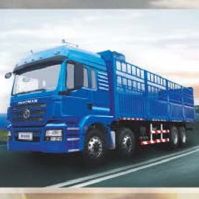 SHACMAN M3000 Series (Lorry)